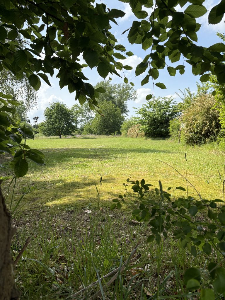 Naturnaher Stellplatz am Alten Kulturhaus Dambeck